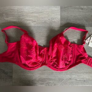 Panache Vibrant Red Embroidered Tango II Bra 32J